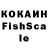COCAIN Fish Scale fhtr