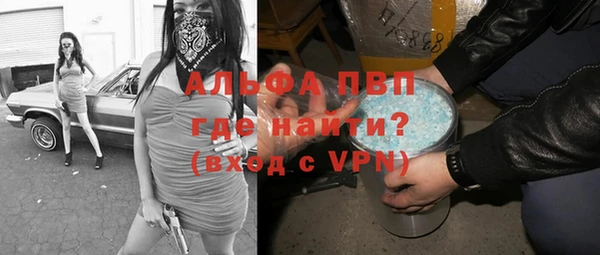 прущие грибы Баксан