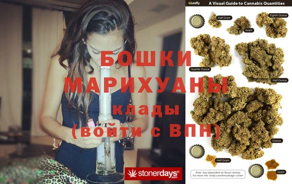прущие грибы Баксан