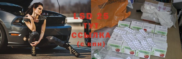 прущие грибы Баксан