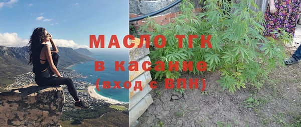индика Березники