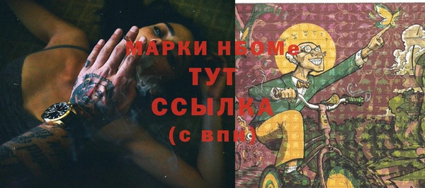 прущие грибы Баксан