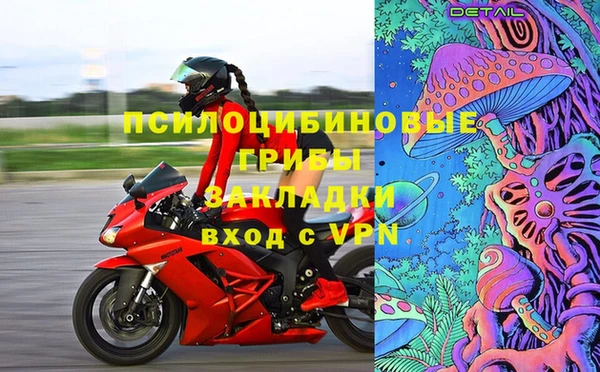 прущие грибы Баксан