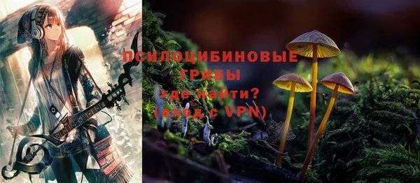 прущие грибы Баксан