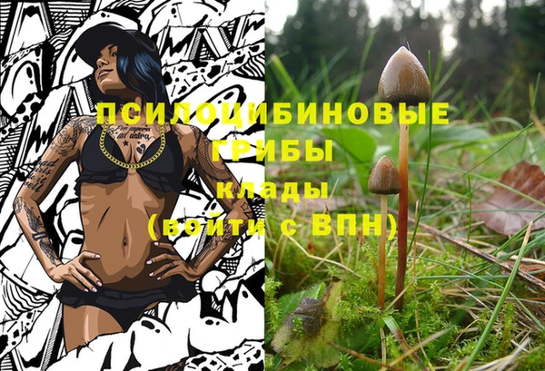 индика Березники